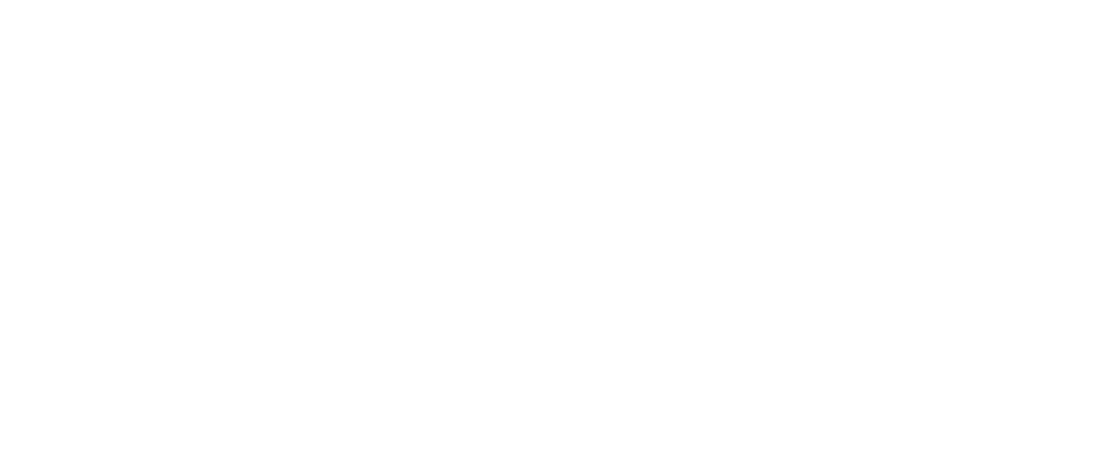 nWay logo