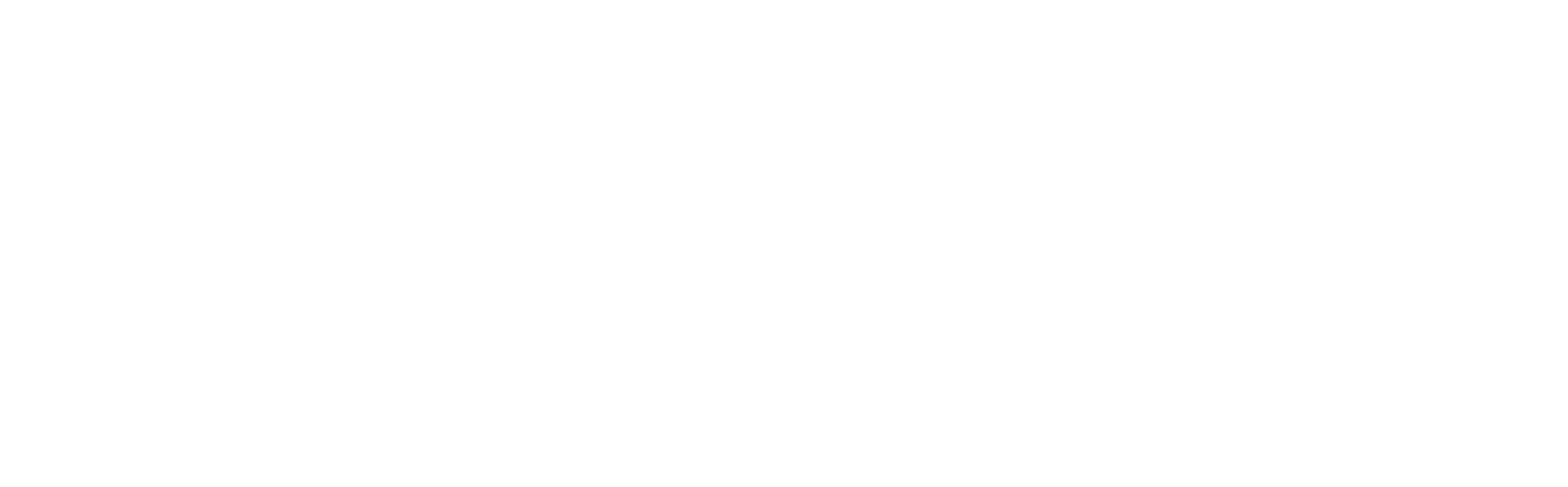 The Amplifier Group